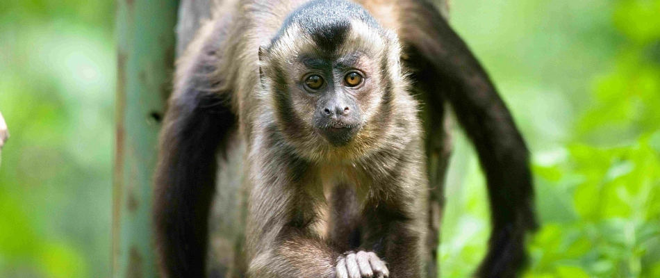 Warum nicht in den Leintalzoo? Hier ist für jeden was dabei und lernen geht mit viel Freude ganz einfach nebenher. Der Klassenausflug steht an