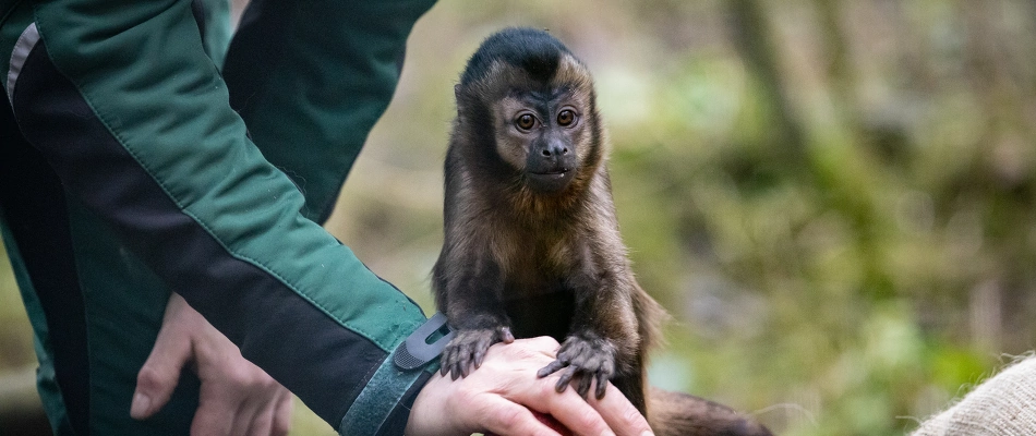 Weihnachtlicher Verkauf des Fördervereins Unterstützung für den Zoo und Gnadenhof