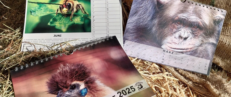 Der beliebte Leintalzoo-Kalender 2025 ist da!! Druckfrisch eingetroffen!