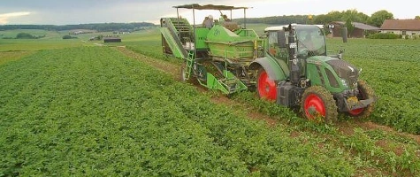 Wir haben mit der Kartoffelernte begonnen!