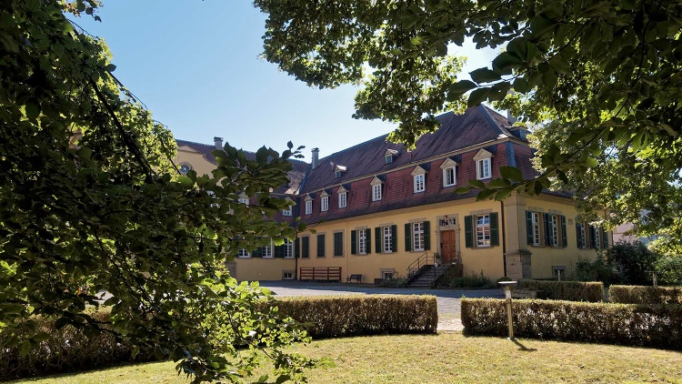 Schloss Massenbach aus Massenbach