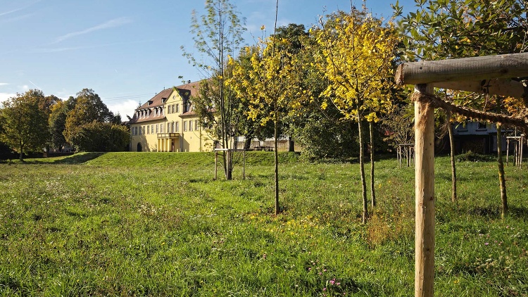 Schloss Massenbach aus Massenbach